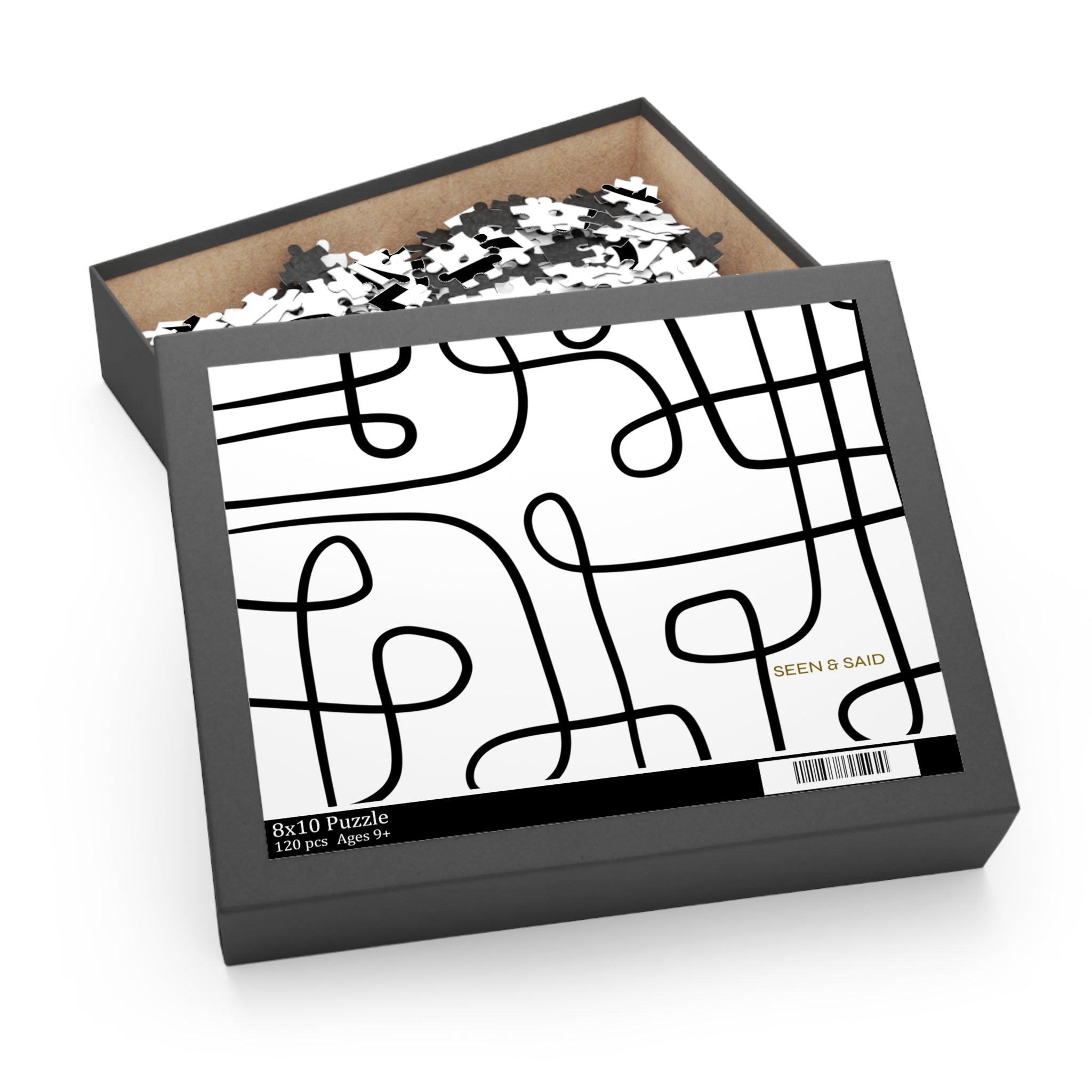 Maze the Puzzle | Puzzle Set (120-Piece Set)